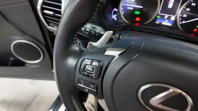 Lexus NX view 27