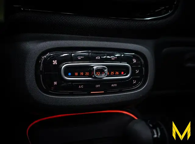 Smart Fortwo view 13