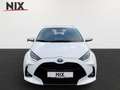 Toyota Yaris 1.5 Hybrid  Team D KAMERA BLUETOOTH Weiß - thumbnail 5