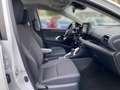 Toyota Yaris 1.5 Hybrid  Team D KAMERA BLUETOOTH Weiß - thumbnail 6