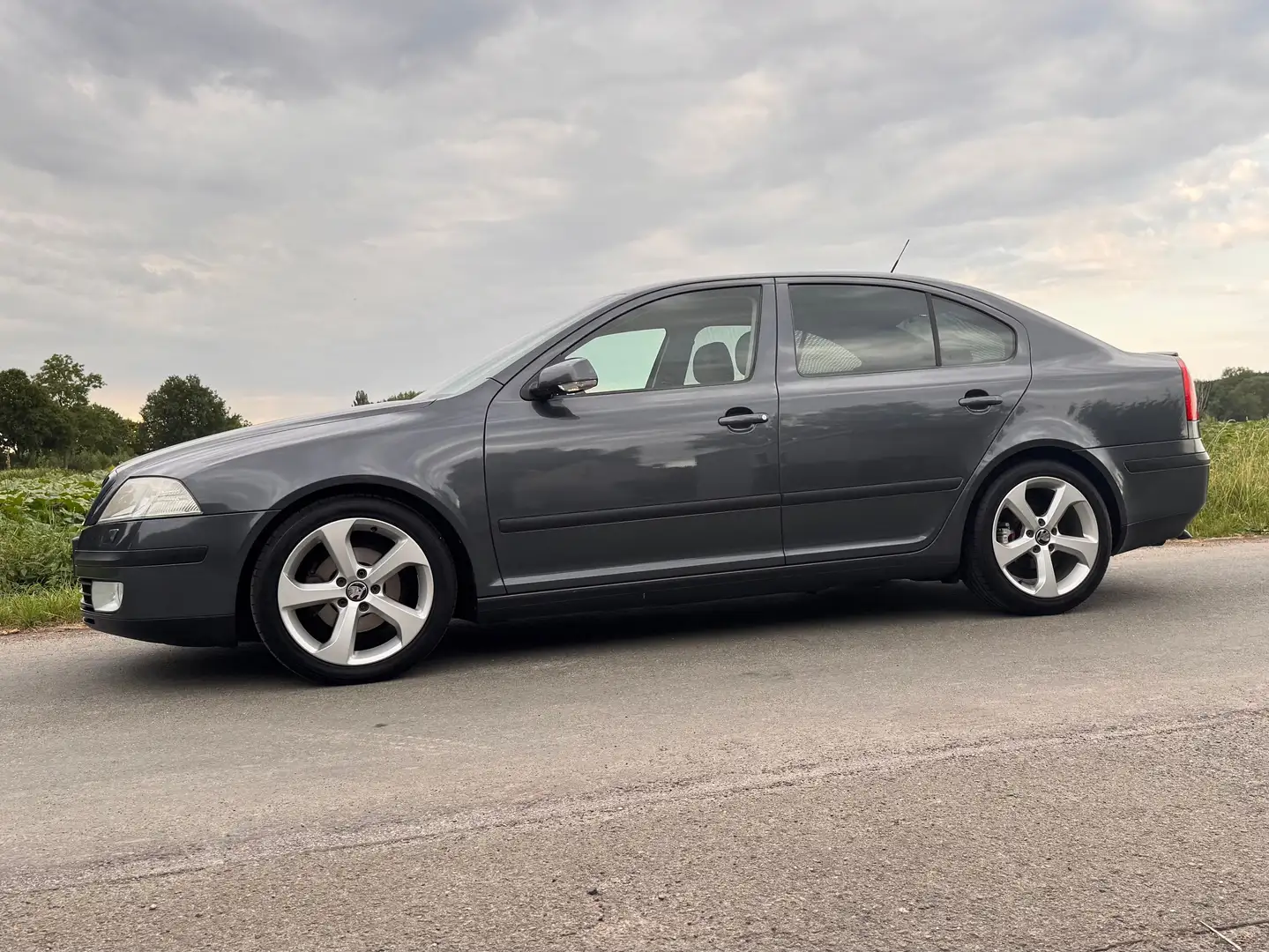Skoda Octavia Octavia 1.9 TDI DPF Elegance Grau - 1