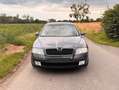 Skoda Octavia Octavia 1.9 TDI DPF Elegance Grau - thumbnail 4