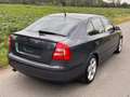 Skoda Octavia Octavia 1.9 TDI DPF Elegance Grau - thumbnail 6