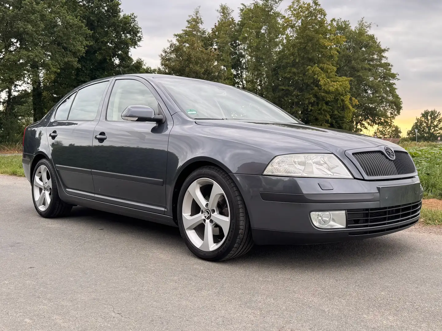 Skoda Octavia Octavia 1.9 TDI DPF Elegance Grau - 2