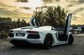 Lamborghini Aventador ROADSTER LP700-4 ***LIFT /CAMERA / HEATED SEATS*** Alb - thumbnail 1