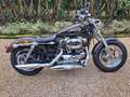Harley-Davidson Sportster 1200 1200XL CUSTOM  110TH ANNIVERSARY EDI. Marrone - thumbnail 1