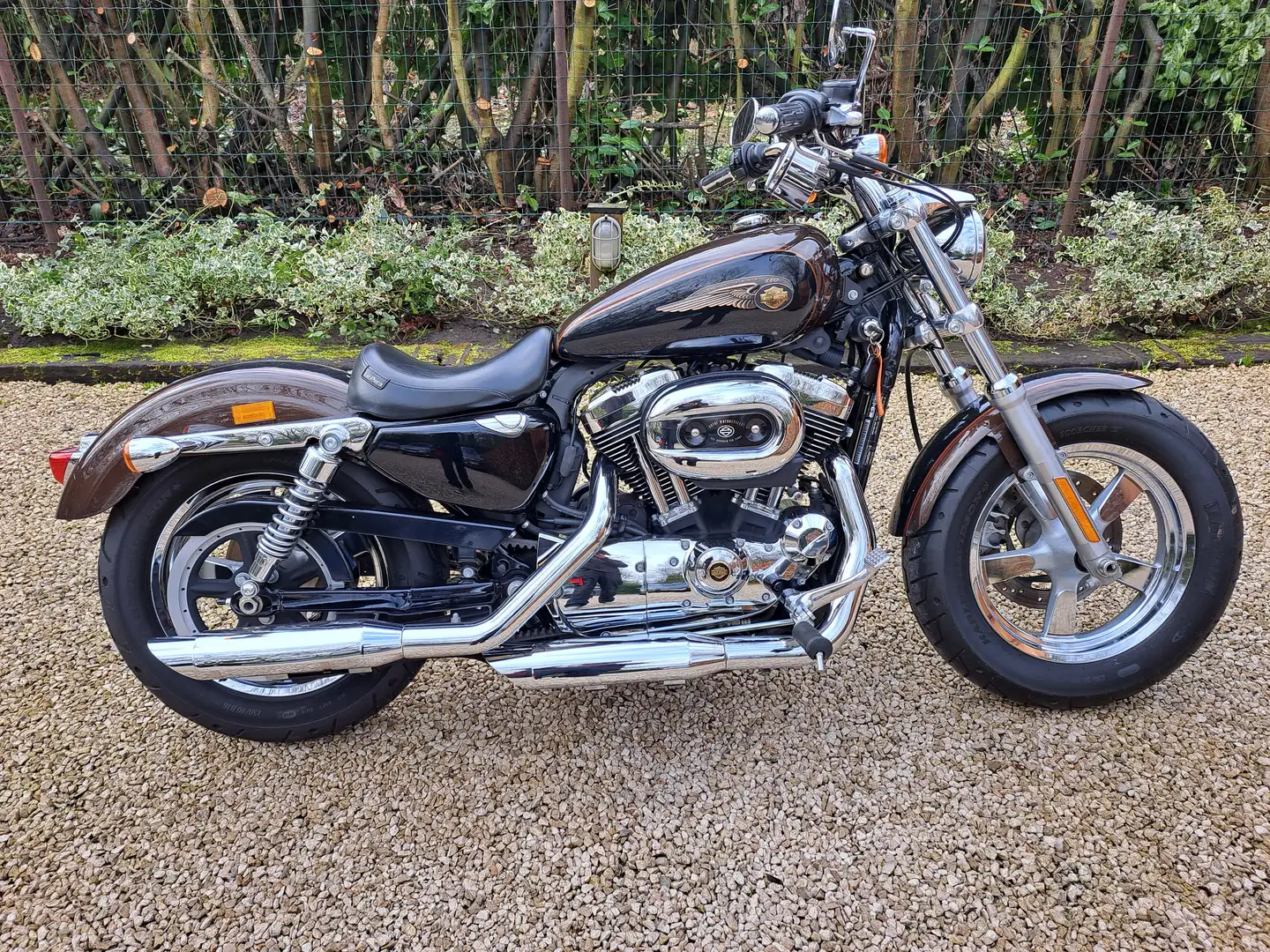 Harley-Davidson Sportster 1200 1200XL CUSTOM  110TH ANNIVERSARY EDI. Marrone - 1