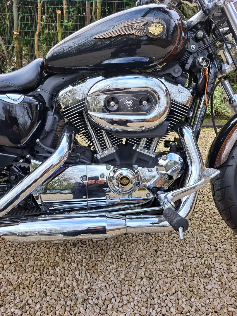 Harley-Davidson Sportster 1200 1200XL CUSTOM  110TH ANNIVERSARY EDI. Marrone - 2