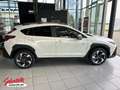 Subaru Crosstrek 2.0ie Comfort Navi Allrad LED Boxer White - thumbnail 6