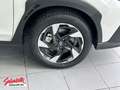 Subaru Crosstrek 2.0ie Comfort Navi Allrad LED Boxer White - thumbnail 5