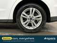 Ford Galaxy 2.0 EcoBlue S&S Aut. TITANIUM Kombi, 5-türig, Auto Weiß - thumbnail 7