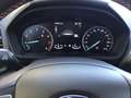 Ford EcoSport EcoSport 1.0 EcoBoost 125 Cv ST-Line Grigio - thumbnail 10