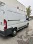 Fiat Ducato Fiat Ducato passo medio Euro 6B - thumbnail 5