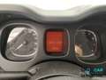 Fiat Panda Panda III 2021 Cross Panda 1.0 firefly hybrid Cro Rosso - thumbnail 10