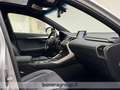 Lexus NX 300 h 2.5 F-Sport 4wd cvt Silber - thumbnail 10