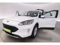 Ford Kuga 2.5Duratec Aut.Cool&Connect+LED+VIRTUAL+PDC Weiß - thumbnail 22