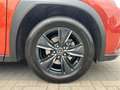 Lexus UX 250h Business Line Oranje - thumbnail 15