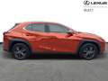 Lexus UX 250h Business Line Oranje - thumbnail 16
