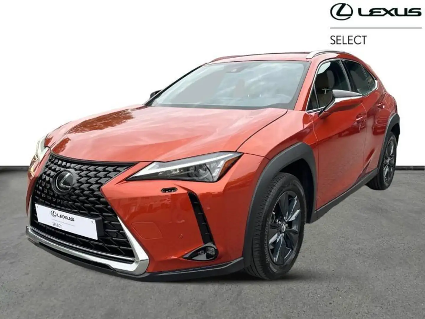 Lexus UX 250h Business Line Oranje - 1