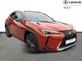 Lexus UX 250h Business Line Oranje - thumbnail 18