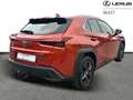 Lexus UX 250h Business Line Oranje - thumbnail 17