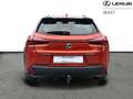 Lexus UX 250h Business Line Oranje - thumbnail 6