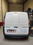 Renault Kangoo Z.E. Kangoo Z.E. (ohne Batterie) White - thumbnail 4