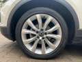 Volkswagen T-Roc 1.5 TSI Style DSG LED Kamera Sitzhzg Grau - thumbnail 15
