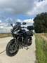 Yamaha FZ 6 S2 Fazer Zwart - thumbnail 19