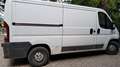 Fiat Ducato Bianco - thumbnail 5