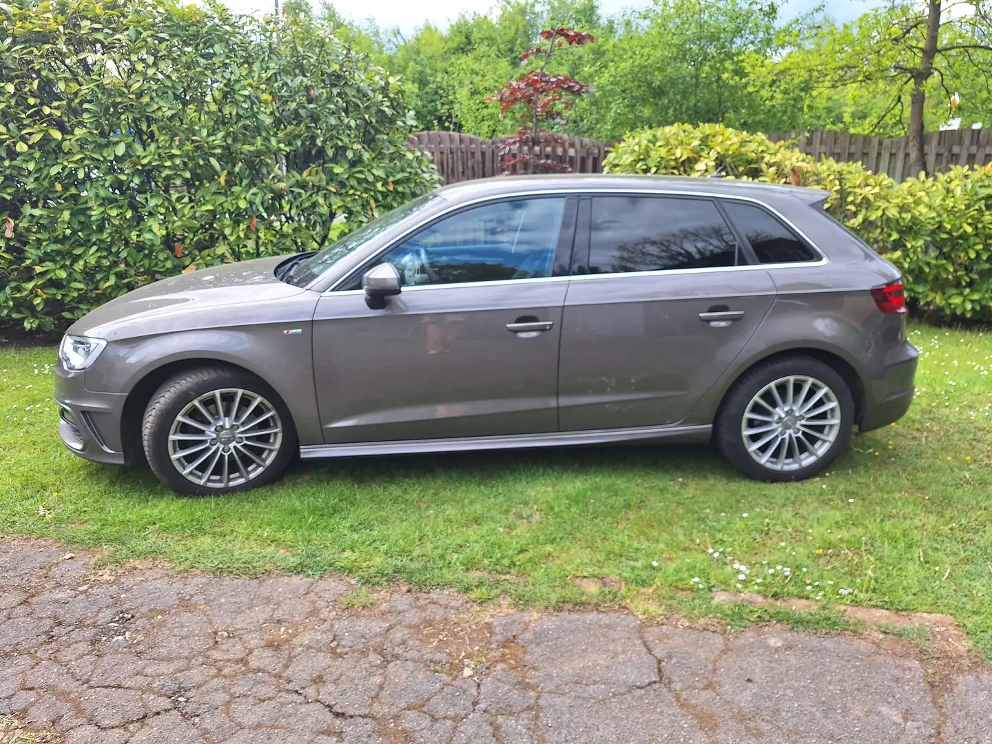 Audi A3 A3 Sportback 1.6 TDi Ambition S line DPF Brun - 1