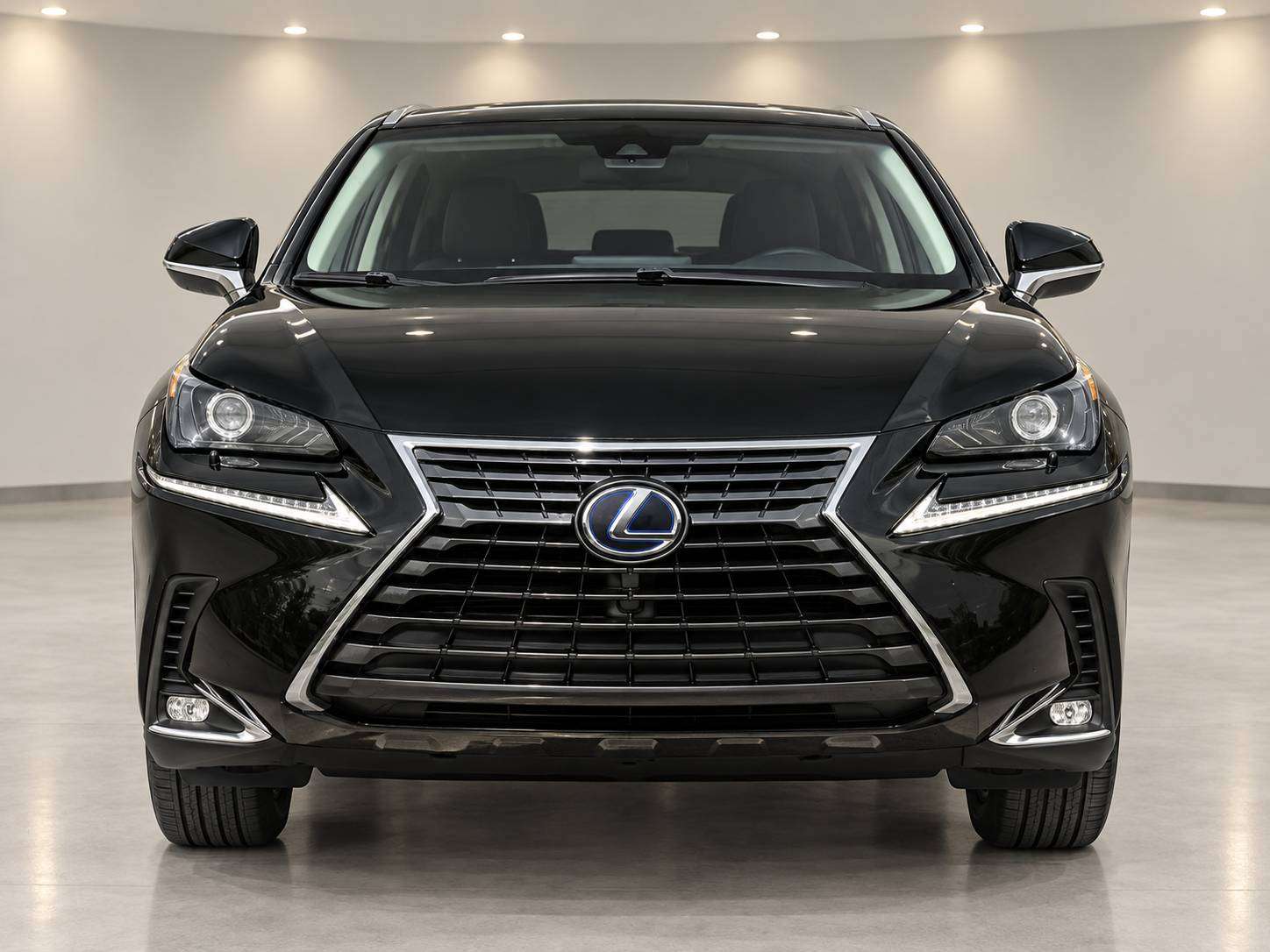 2019 Lexus NX Hybrid