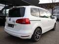 Volkswagen Sharan 2.0 TDI DSG LIFE PLUS / PANORAMA, XENON Weiß - thumbnail 7