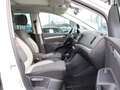 Volkswagen Sharan 2.0 TDI DSG LIFE PLUS / PANORAMA, XENON Weiß - thumbnail 13