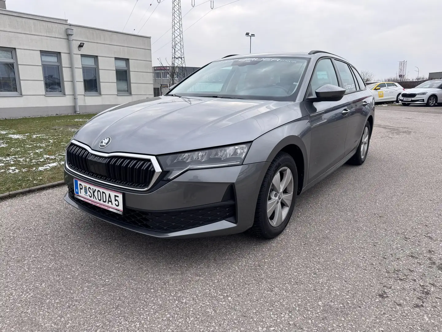 Skoda Octavia Essence TSI Grau - 1