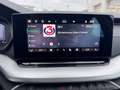 Skoda Octavia Essence TSI Grau - thumbnail 13
