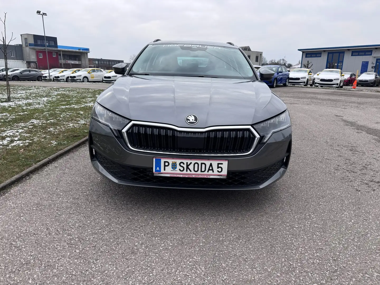 Skoda Octavia Essence TSI Grau - 2