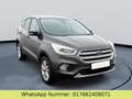 Ford Kuga Trend Gris - thumbnail 1