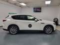 Mazda CX-60 3.3 m-hybrid boost Exclusive Line Comfort Convenience&Sound awd 249cv auto Blanco - thumbnail 6