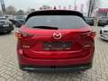 Mazda CX-5 SKY-G 194 Homura Leder Bose Matrix LED Rojo - thumbnail 5