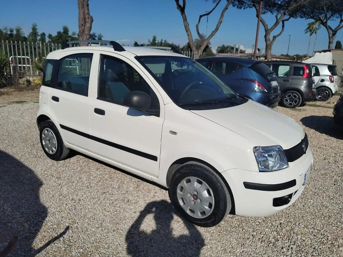 Fiat Panda 1.2 Active Bianco - 2
