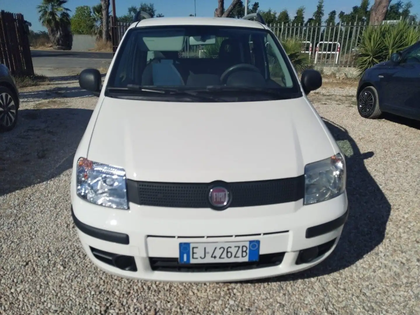 Fiat Panda 1.2 Active Bianco - 1