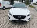 Mazda CX-5 CX-5 CD150 AWD Attraction Aut. Attraction - thumbnail 3