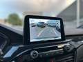 Ford Kuga 2.0 EcoBlue 120 CV aut. ST-Line Blu/Azzurro - thumbnail 12