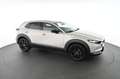 Mazda CX-30 2.0 SKYACTIV-G M Hybrid 150 Homura 2WD Pickerl NEU Silber - thumbnail 8