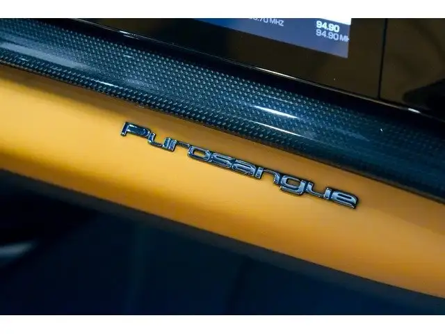 Ferrari Purosangue view 25