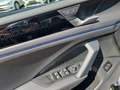 Volkswagen Tiguan 2.0 TDI DSG R-LINE+BLACKSTYLE+AHK+WR+HARMAN+MATRI Grau - thumbnail 11