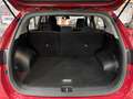 Kia Sportage 1.6 CRDi Drive 4x2 115 Burdeos - thumbnail 7
