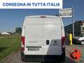 Fiat Ducato 35 2.3 MJT 140C-(PM-TM L2H2)SENSORI-FURGONE-E6 Weiß - thumbnail 6