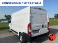 Fiat Ducato 35 2.3 MJT 140C-(PM-TM L2H2)SENSORI-FURGONE-E6 Weiß - thumbnail 5